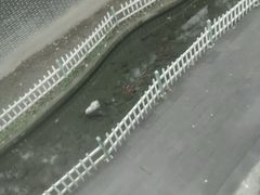 -什邡罗汉寺