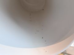-青岛鑫江温德姆酒店