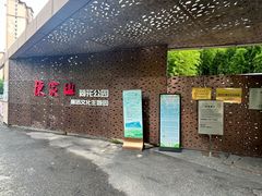 -陈家山荷花公园