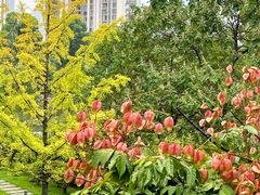 -桃花岭景区