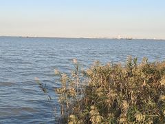 -上海吴淞炮台湾国家湿地公园