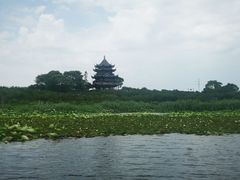 -上海海湾国家森林公园