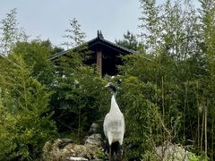 -丽泽山庄·生态怀柔菜·虹鳟鱼(红螺寺店)