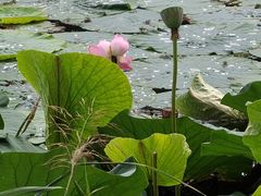 -长春市南湖公园