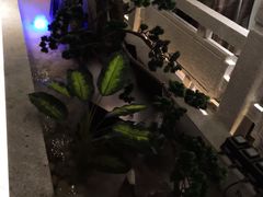 -野妹经典火锅(江夏中百店)