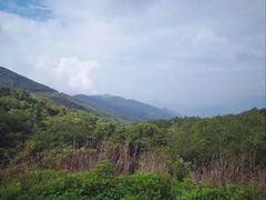 -武陵山森林公园