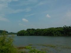 android_upload_pic-大屏嶂森林公园