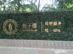-悦子阁月子会所