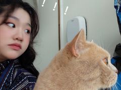 -Catmate·猫肥家润(金润铂宫店)