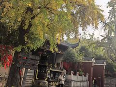 -长春观