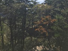 -罗田天堂寨风景区