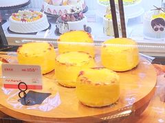 炭烧乳酪-幸福鸟动物奶油生日蛋糕(军校店)