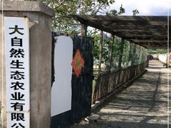 -大自然农场蔬菜草莓采摘园