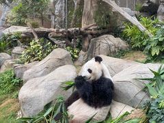 -香港海洋公园