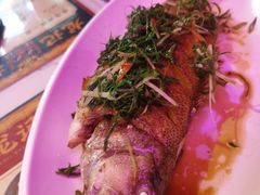 香煎葱油鲈鱼-龙记·香港茶餐厅(海上世界店)