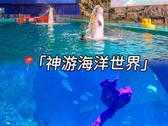 -威海华夏城景区