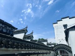 -枫泾丁氏烧卖(枫丽路店)