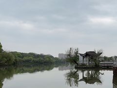 -八大山人梅湖景区