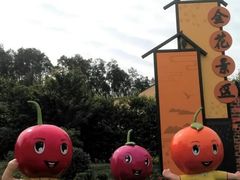 -樱桃山旅游景区