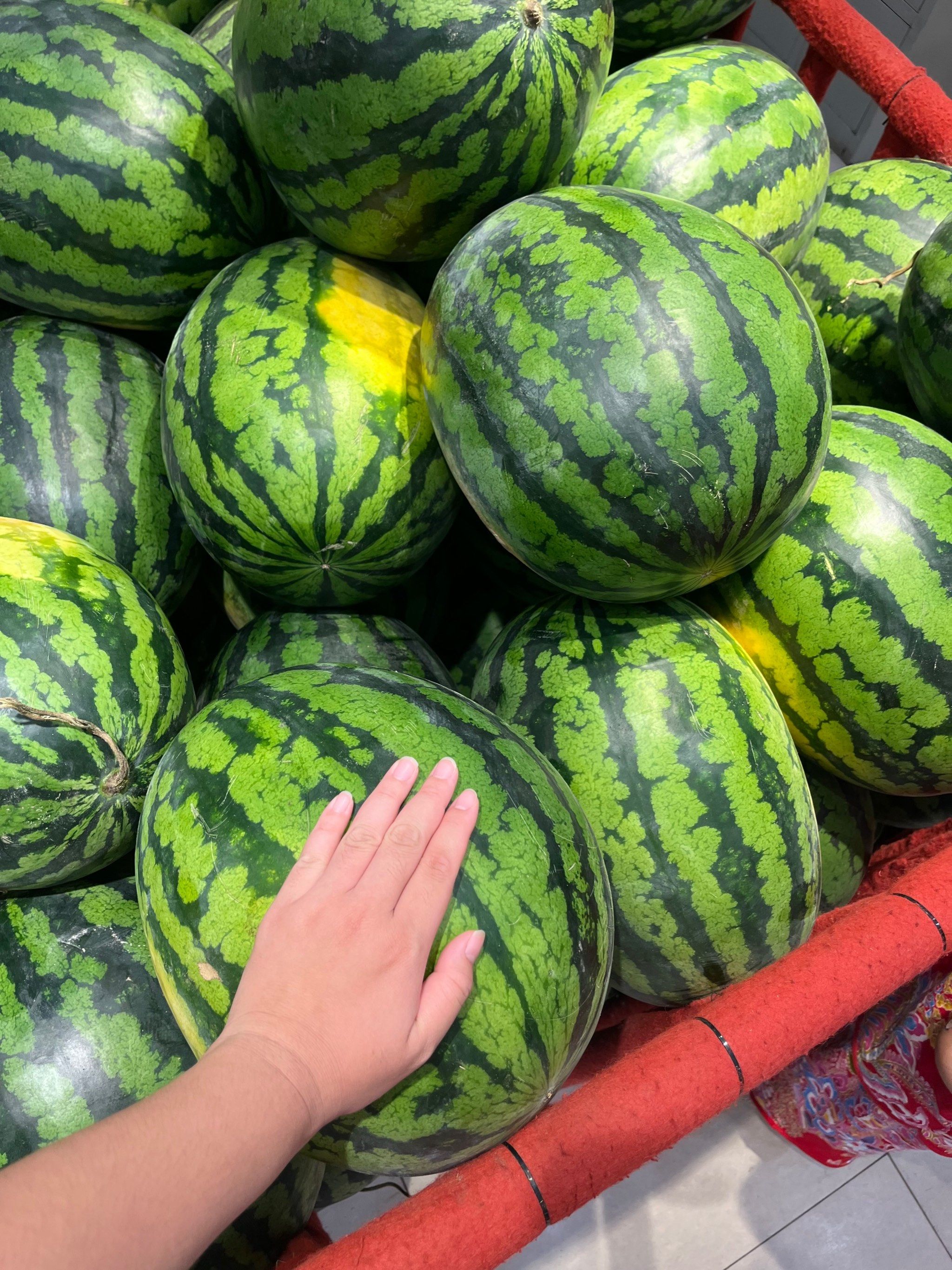 惊了!超市大西瓜