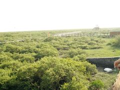 -北海金海湾红树林生态旅游区