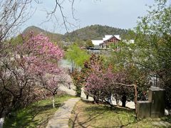 -采石矶景区