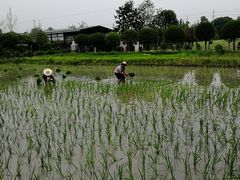 -洪湖家庭农场·团建·露营·会议