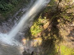 -莫里热带雨林景区