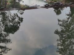 -水濂山森林公园