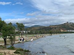 -洱海月湿地公园