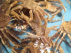 -渔傅·霞浦滩涂海鲜(建平店)