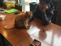 -密讯馆密室逃脱&换装侦探剧(环球港旗舰店)