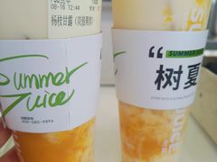 -树夏(金楠天街店)