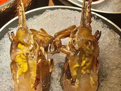 -揽季锅物会·海鲜姿造(五四路店)