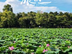 -长春市南湖公园