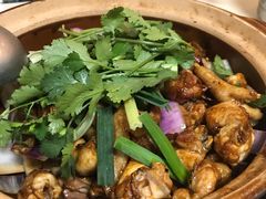 鸡煲-胡须佬鸡煲四季火锅(龙珠大道店)