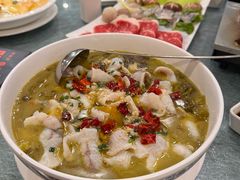 -永記粤菜·五指毛桃花雕鸡煲(九亭店)