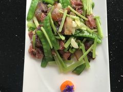 -云中小雅