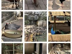 -广东茂名森林公园