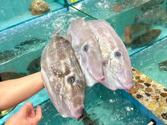 -有腥气私房菜·寻味顺德