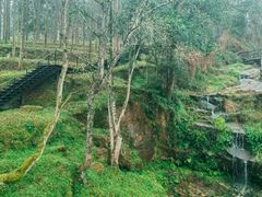 -唐崖土司城遗址