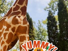 -南戴河国际娱乐中心