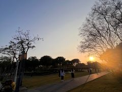 -顺峰山公园