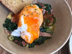 -tu&tulip by茴悦(百家湖1912店)