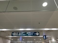 -首都医科大学附属北京潞河医院