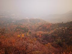 -北京鹫峰国家森林公园