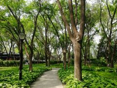 -玲珑塔公园