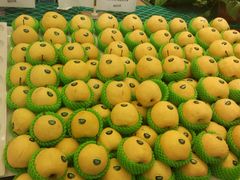-叶氏兄弟(大连奥特莱斯店)