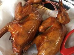 -石岐乳鸽村(桥观坊南四巷店)