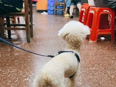 -南权皇烧鸡场